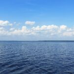 Члены профсоюза медицинского факультета посетили Шереметевский замок
